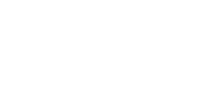 logo Newmips